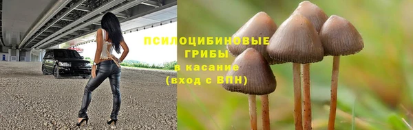 а пвп мука Кукмор