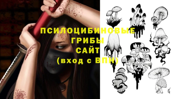 а пвп мука Кукмор